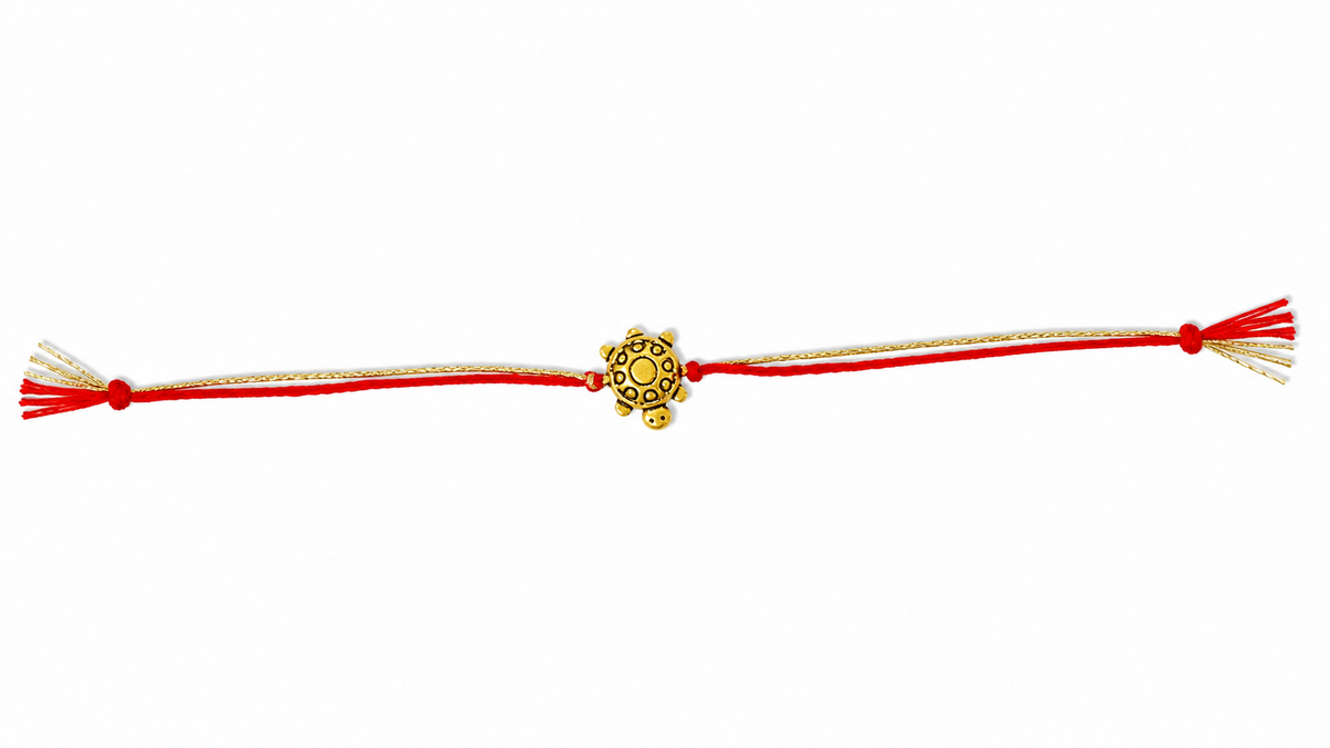 Golden Kachhua-thumbmail-1