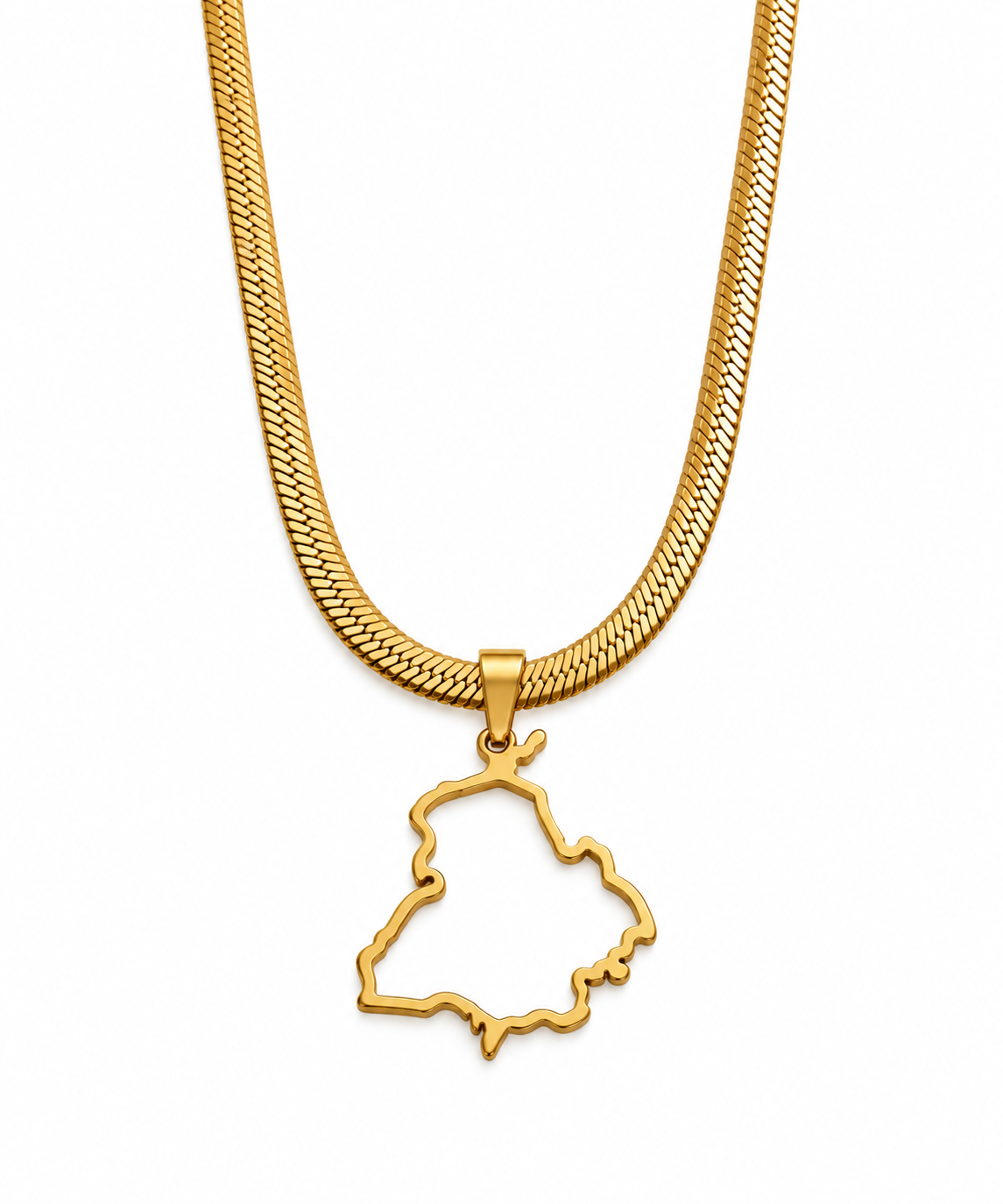 Punjab Outline Necklace