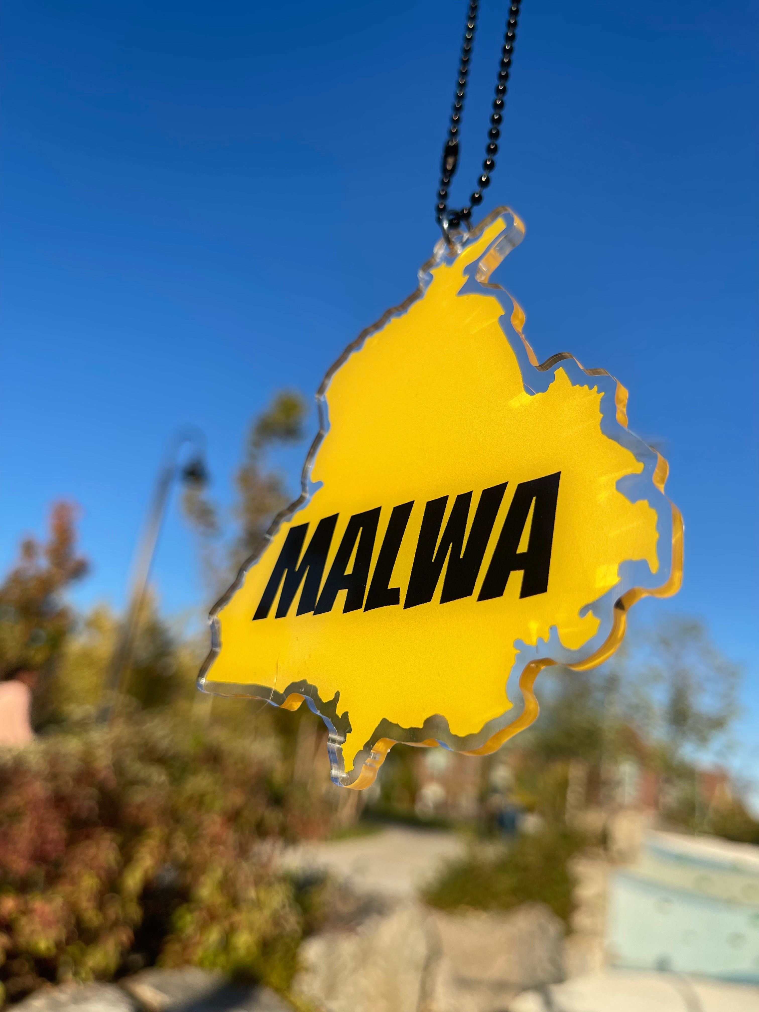 Punjab Region Car Hanging-thumbmail-3
