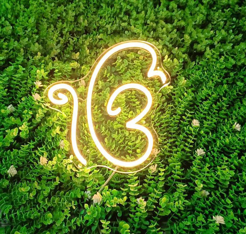 Ik Onkar LED sign-thumbmail-1